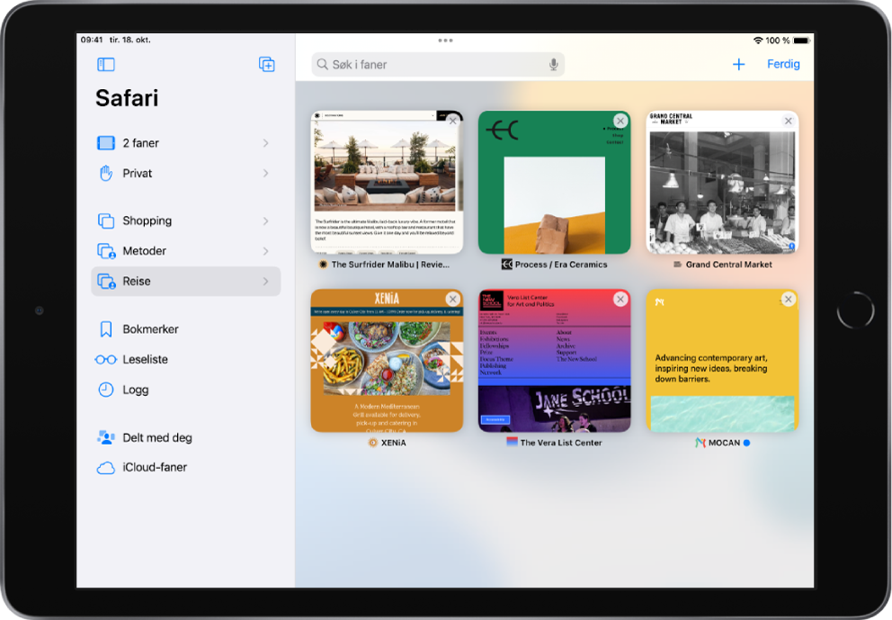Safari-sidepanelet til venstre for Safari-vinduet. Ny fanegruppe-knappen er øverst til høyre. I sidepanelet, fra øverst til nederst, er de åpne Fane-, Privat-, Fanegruppe-, Delt med deg-, Bokmerke-, Leseliste- og Logg-valgene.