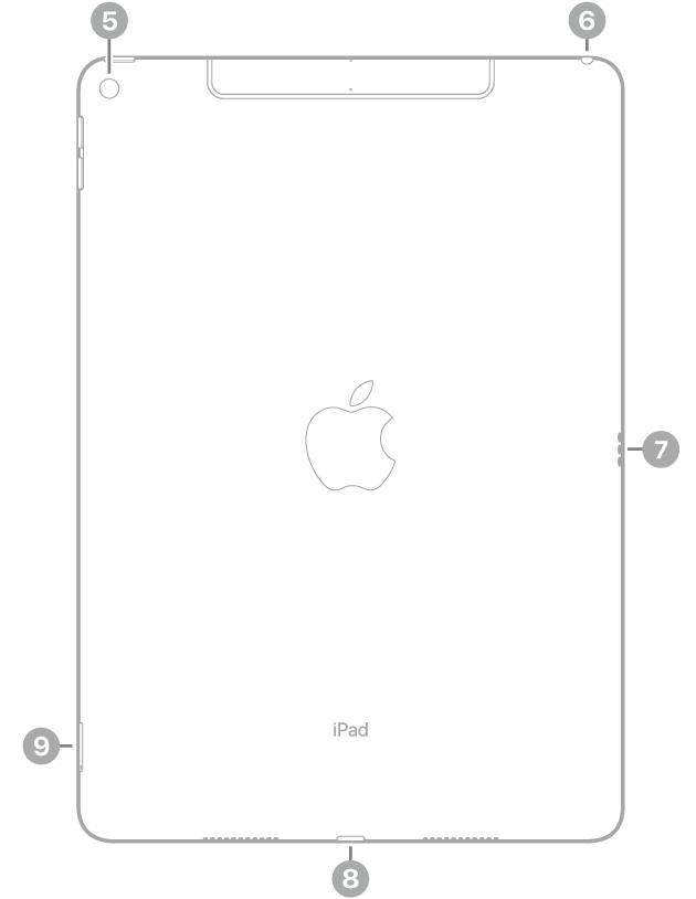 iPad Air sett bakfra, med bildeforklaringer for kameraet på baksiden øverst til venstre, hodetelefonutgangen øverst til høyre, Smart Connector til høyre, Lightning-tilkoblingen nederst i midten og SIM-skuffen (Wi-Fi + Cellular) nederst til venstre.