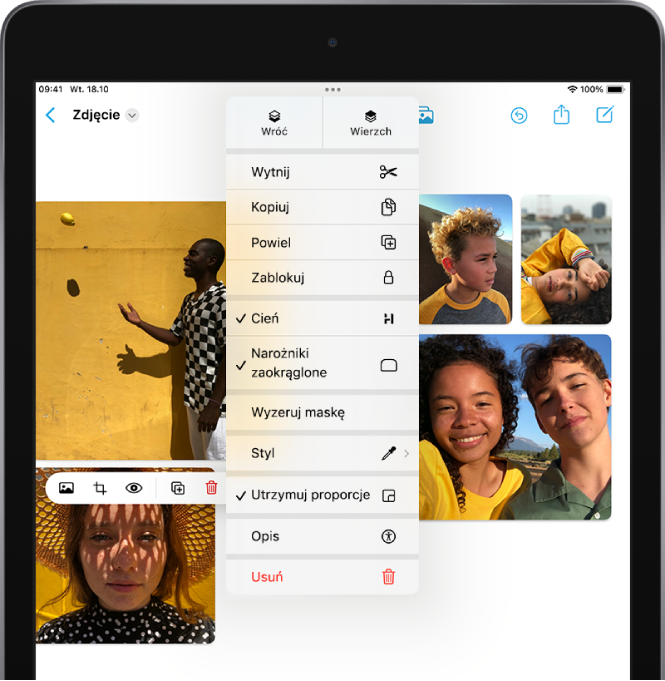 Tablica Friform z kilkoma zdjęciami. Jedno ze zdjęć jest zaznaczone; widoczne są narzędzia formatowania.
