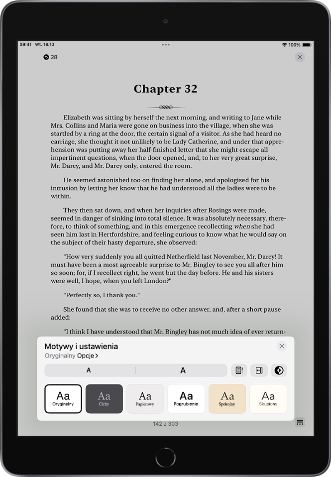 Opcje Motywy i ustawienia, zawierające narzędzia pozwalające zmieniać wielkość czcionki, przewijanie widoku, styl odwracania strony, jasność oraz style czcionki.