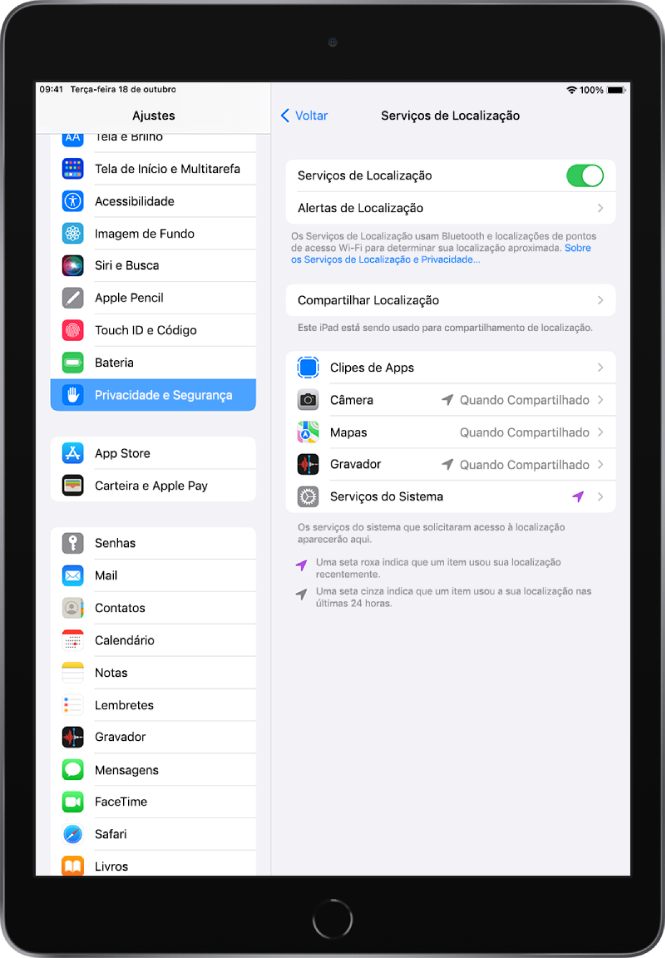 A tela dos Serviços de Localização nos ajustes de Privacidade e Segurança, com opções para compartilhamento da localização do iPad, incluindo ajustes personalizados para apps individuais.
