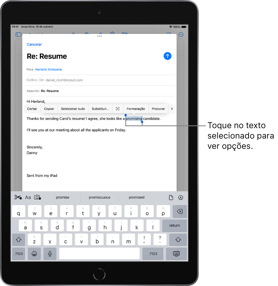 Exemplo de uma mensagem de e‑mail com algum texto selecionado. Acima da seleção estão os botões Cortar, Copiar, Colar e Substituir, entre outros comandos. O texto selecionado está destacado, com puxadores em ambas as extremidades.