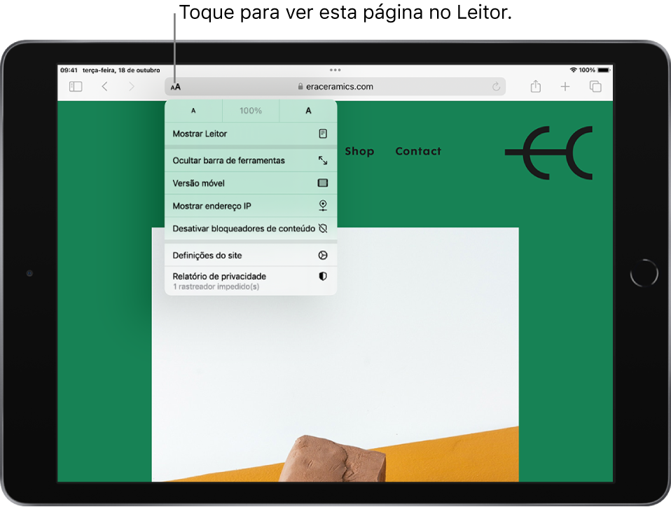 Uma página web aberta. No lado esquerdo do campo de pesquisa, o botão Definições da página está selecionado e mostra os controlos de tamanho do tipo de letra, seguidos da opção Mostrar Leitor.