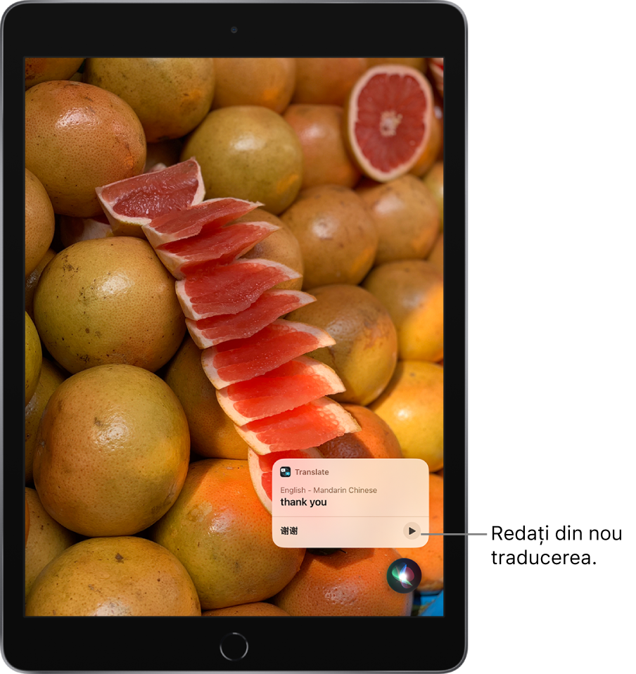 Siri afișează o traducere a expresiei “thank you” din limba engleză în chineză mandarină. Butonul din dreapta traducerii redă din nou traducerea.