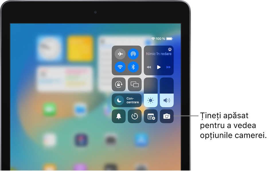 Comenzi pentru modul Avion, date celulare, Wi-Fi și Bluetooth în grupul din stânga sus din centrul de control pentru modelele de iPad Wi-Fi + Cellular. Control cameră se află în partea dreaptă jos.