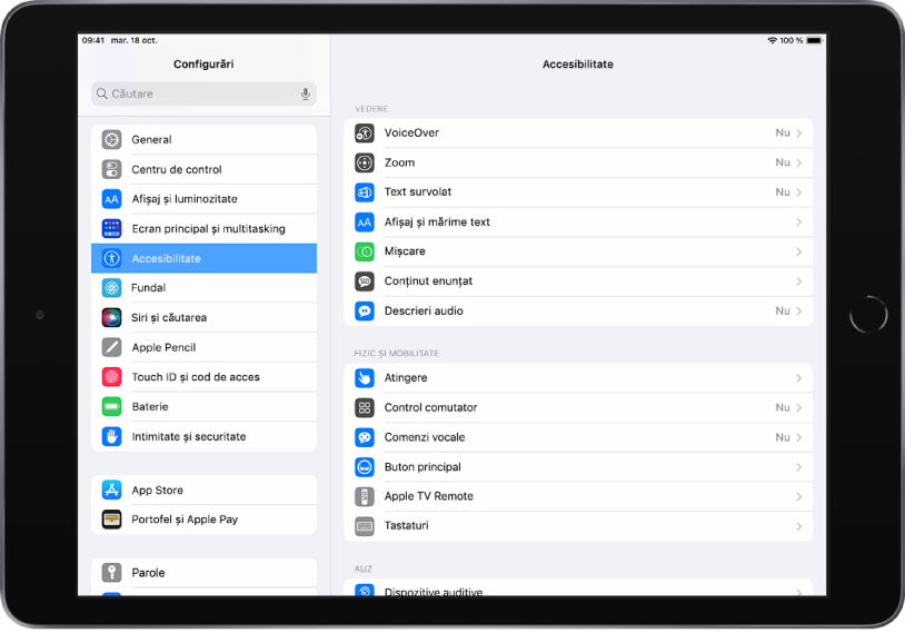 Ecranul aplicației Configurări de pe iPad. În partea stângă a ecranului este bara laterală Configurări. Opțiunea Accesibilitate este selectată. În partea dreaptă a ecranului se află opțiuni pentru personalizarea funcționalităților de accesibilitate.