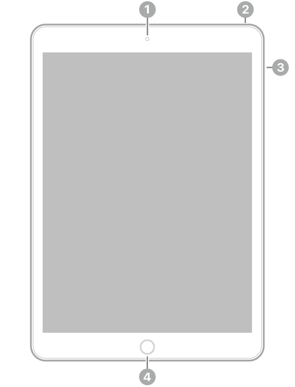 Передняя сторона iPad с выносками, указывающими на переднюю камеру вверху по центру, верхнюю кнопку справа вверху, кнопки громкости справа и кнопку «Домой»/Touch ID внизу по центру.