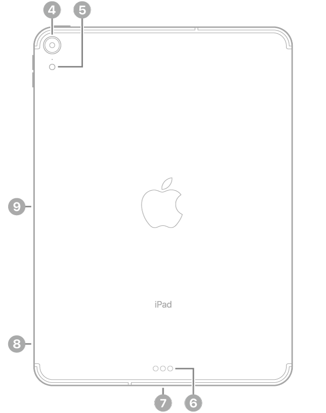 มุมมองด้านหลังของ iPad Pro พร้อมกับคำบรรยายกล้องด้านหลังและแฟลชที่ด้านซ้ายบนสุด Smart Connector และช่องต่อ USB-C ที่กึ่งกลางด้านล่างสุด ถาดซิม (Wi-Fi + Cellular) ที่ด้านซ้ายล่างสุด และตัวเชื่อมต่อแบบแม่เหล็กสำหรับ Apple Pencil ทางด้านซ้าย