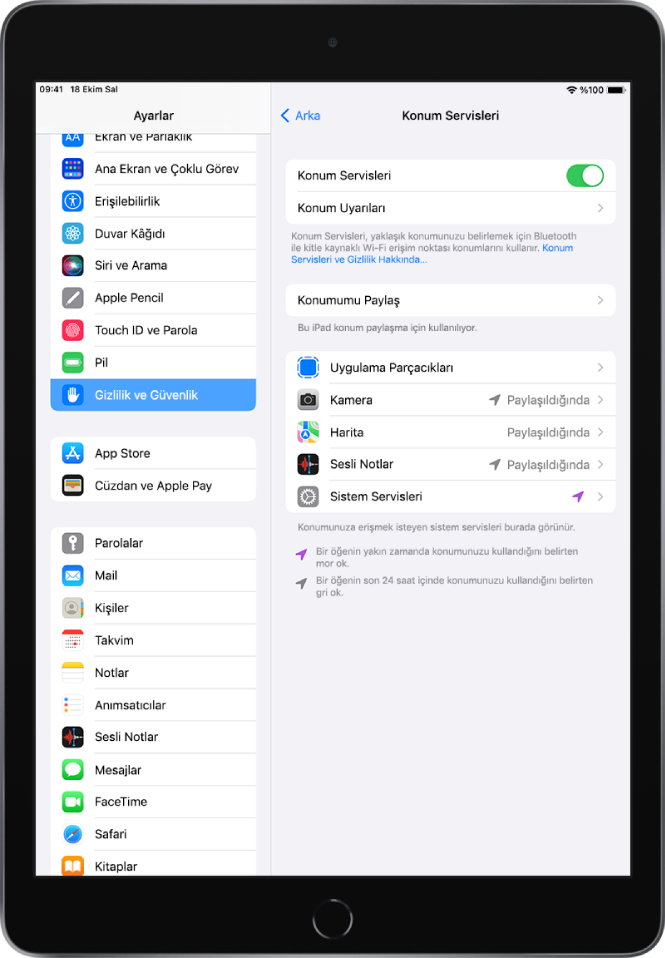 Gizlilik ve Güvenlik ayarlarında, ayrı ayrı uygulamalar için özel ayarlar da dahil olmak üzere iPad’inizin konumunu paylaşma seçenekleri ile Konum Servisleri ayarları.