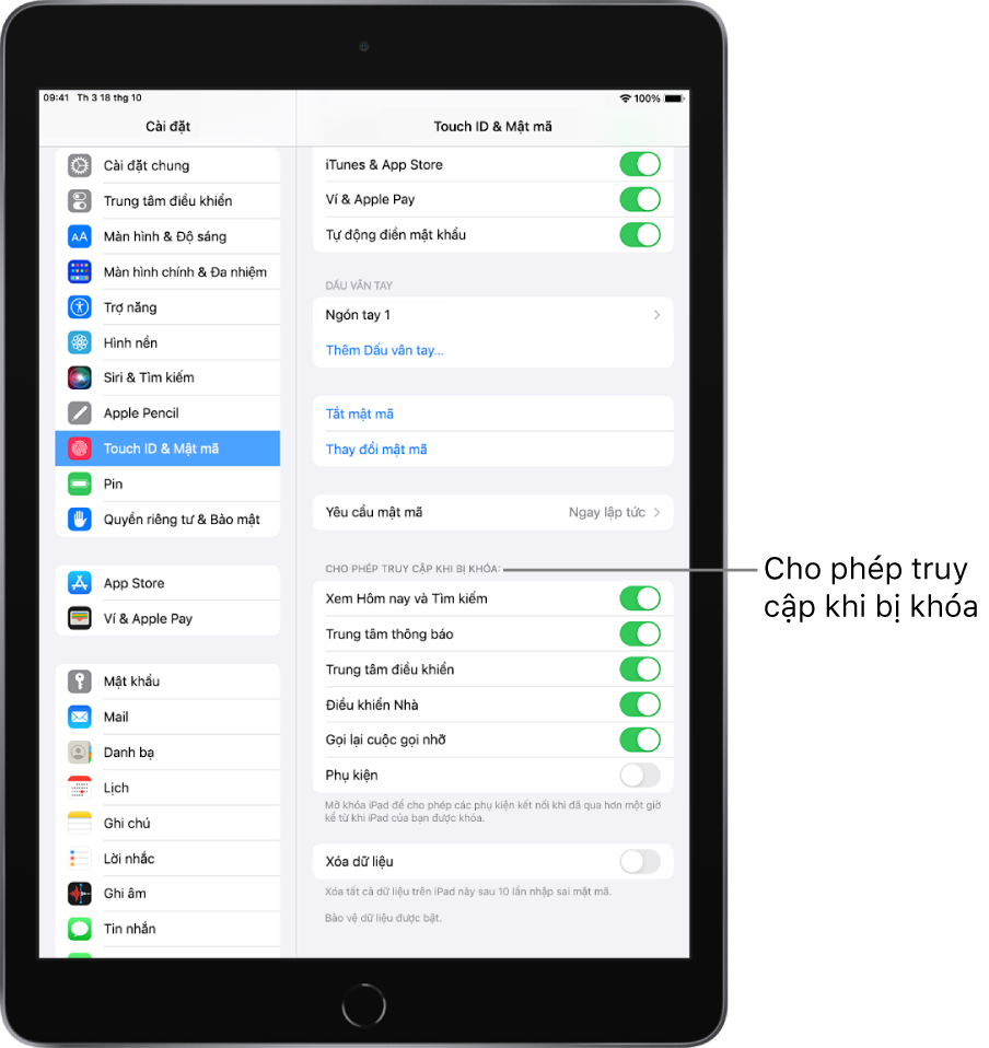 Cài đặt Touch ID & Mật mã, với các tùy chọn để cho phép truy cập vào các tính năng cụ khi iPad được khóa.