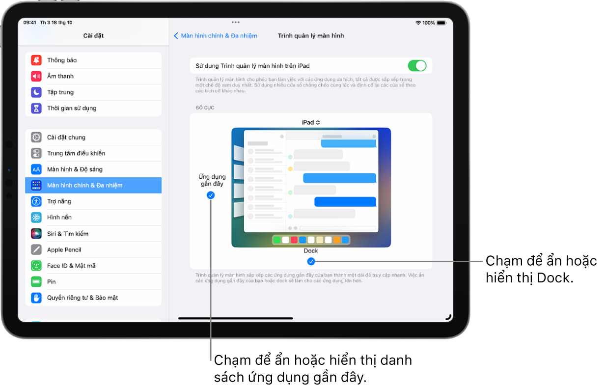 Một màn hình iPad đang hiển thị các cài đặt để bật hoặc tắt Quản lý màn hình, ẩn hoặc hiển thị danh sách ứng dụng gần đây khi Quản lý màn hình được bật, cũng như ẩn hoặc hiển thị Dock khi Quản lý màn hình được bật.