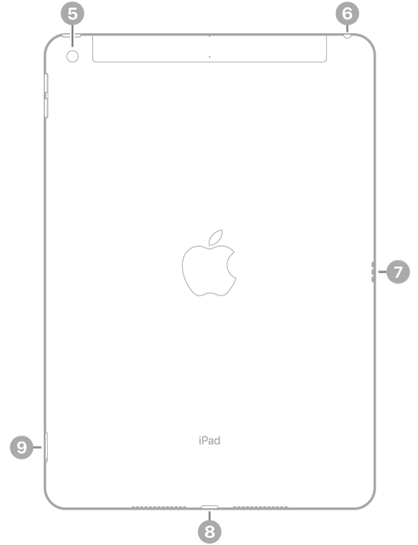 iPad 背面视图，标注指向左上方的后置摄像头、右上方的耳机插孔、右侧的智能接点、底部中央的闪电接口以及左下方的 SIM 卡托（无线局域网 + 蜂窝网络机型）。