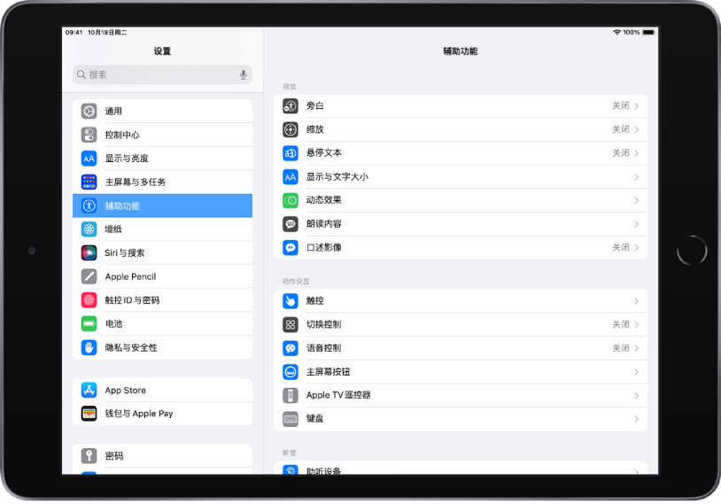 iPad 的“设置”屏幕。屏幕左侧是“设置”边栏；“辅助功能”已选中。屏幕右侧是自定“辅助功能”的选项。