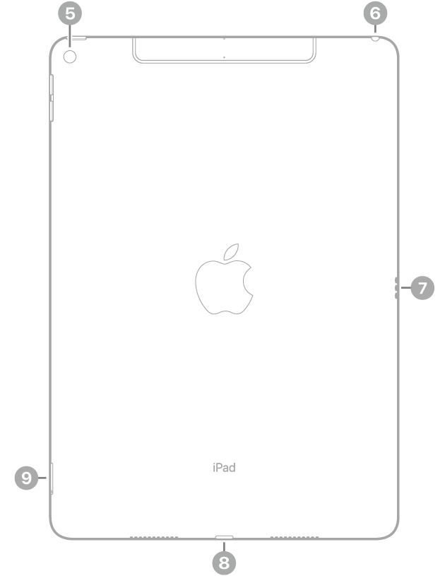 iPad Air 背面视图，标注指向左上方的后置摄像头、右上方的耳机插孔、右侧的智能接点、底部中央的闪电接口以及左下方的 SIM 卡托（无线局域网 + 蜂窝网络机型）。