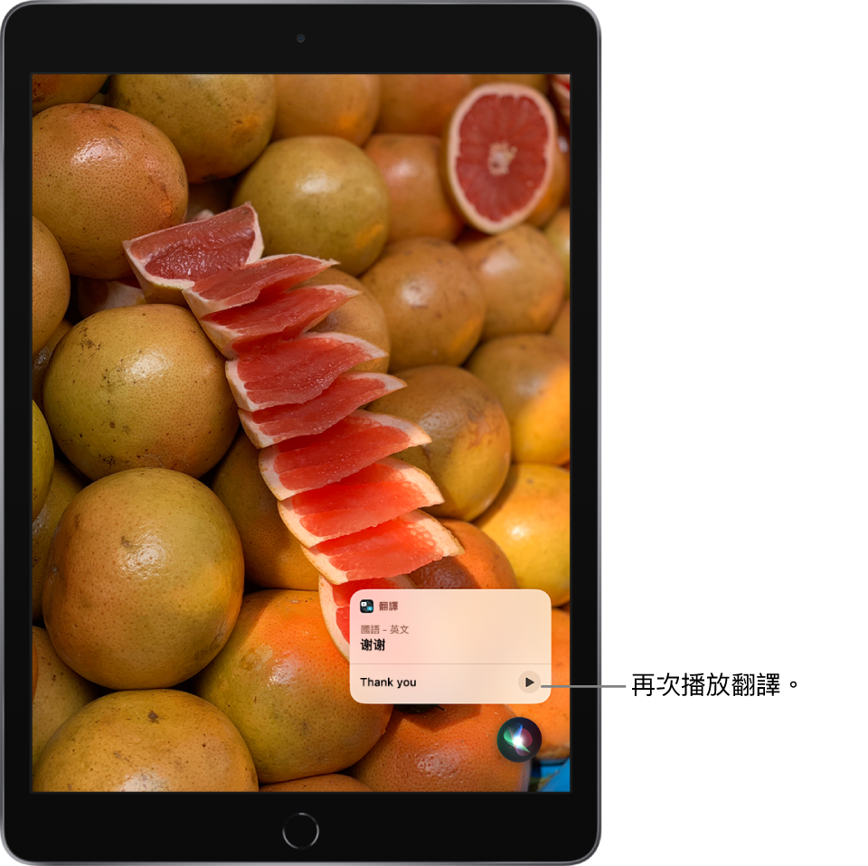 Siri 將英語詞語「謝謝」翻譯成中文。翻譯右邊的按鈕可重新播放翻譯的音訊。