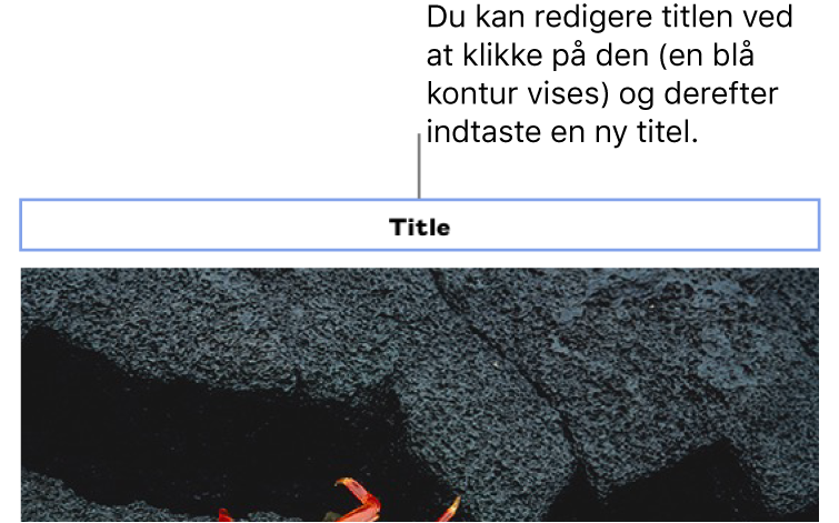 Eksempeltitlen ”Title” vises over et foto. Et blåt omrids rundt om titelfeltet viser, at det er valgt.