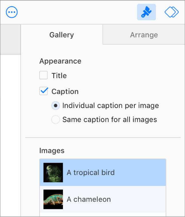 Der Tab „Galerie“ in der Seitenleiste „Format“. Das Markierungsfeld „Untertitel“ ist aktiviert und du kannst jedem Bild einen eigenen Untertitel oder allen Bildern denselben Untertitel hinzufügen. Unterhalb der Steuerelemente befinden sich Miniaturen der einzelnen Bilder mit dem Untertitel rechts daneben angezeigt.