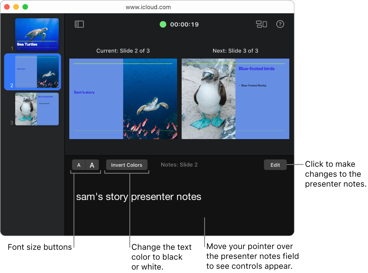The presenter display is open, with a timer at the top that tracks the presentation length, and the current and next slides below. Below the slides, the presenter notes field shows the notes for the current slide, increase and decrease font size buttons, an invert color button, and an Edit button.