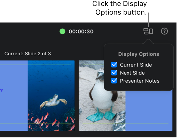 The presenter display with the Display Options pop-up menu in the upper right open to show the display options. The Current Slide, Next Slide, and Presenter Notes checkboxes are all selected.