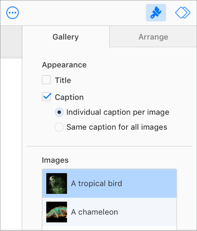 The Gallery tab in the Format sidebar. The Captions checkbox is selected, and there are options to have individual captions for each image, or the same caption for all images. Below the controls are thumbnails of each image with its caption to the right.