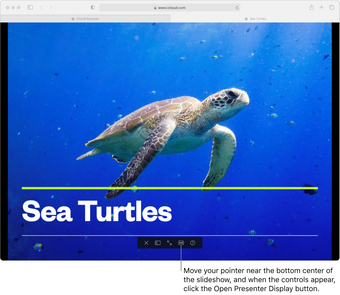 The title screen of a presentation slideshow is open in a window. Near the bottom-center of the slideshow are controls for exiting the slideshow, opening the slide navigator, viewing the slideshow in full screen, opening the presenter display, and viewing a list of presentation navigation shortcuts.