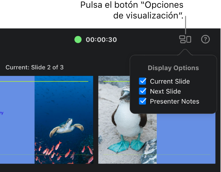 La pantalla del presentador con el menú desplegable “Opciones de visualización” en la parte superior derecha abierto y mostrando las opciones de visualización. Están seleccionadas todas las casillas, “Diapositiva actual”, “Diapositiva siguiente” y “Notas del presentador”.