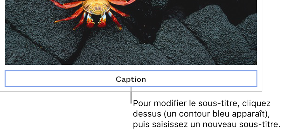 Le sous-titre fictif « Sous-titre » s’affiche sous une photo. Un contour bleu autour du champ de sous-titre montre qu’il est sélectionné.