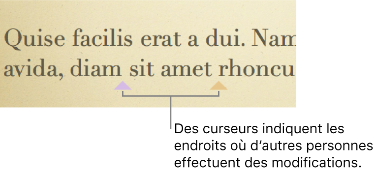 Curseurs de différentes couleurs montrant où des personnes effectuent des modifications dans une présentation partagée.