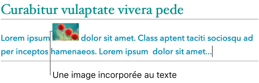 Image incorporée au texte.