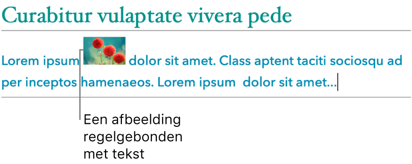 Een afbeelding die regelgebonden is met tekst.