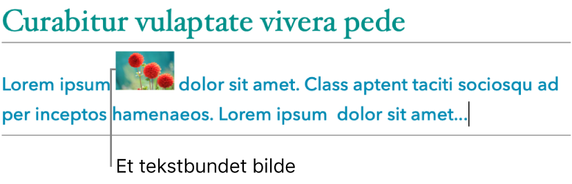 Bildet er bundet til teksten.
