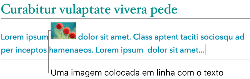 Imagem alinhada com o texto.