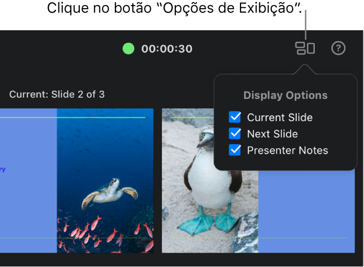Tela do apresentador com o menu pop-up “Opções de Exibição” no canto superior direito aberto para mostrar as opções de exibição. As caixas de seleção Slide Atual, Próximo Slide e “Notas do Apresentador” estão todas selecionadas.