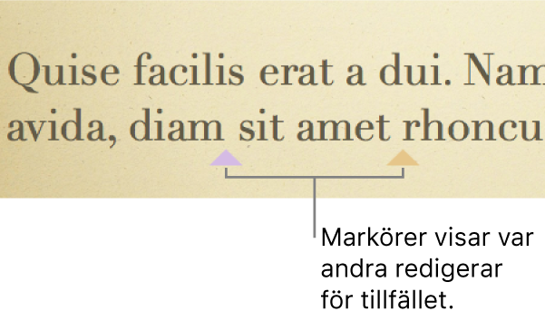 Markörer i olika färger som visar var andra personer redigerar i en delad presentation.