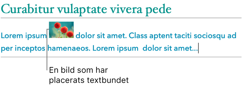 En bild placeras förankrad till texten.