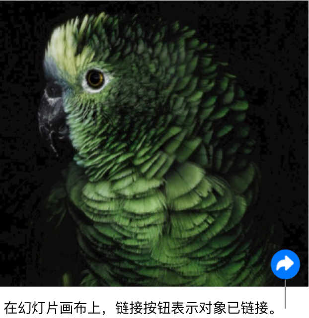 一张图像，显示了幻灯片画布右下角的链接按钮（看上去像个弯曲的箭头）。