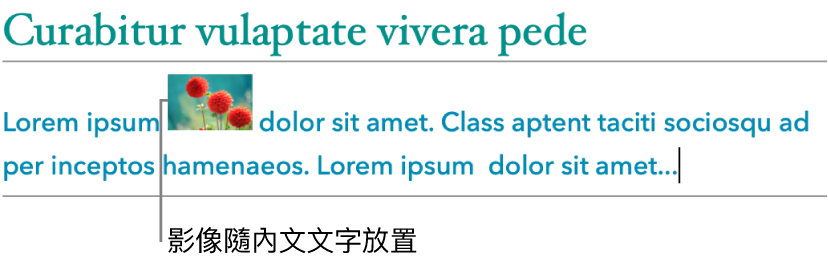 影像已內嵌至文字中。
