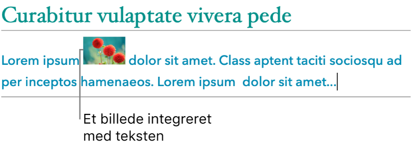 Et billede, der er placeret integreret med tekst.