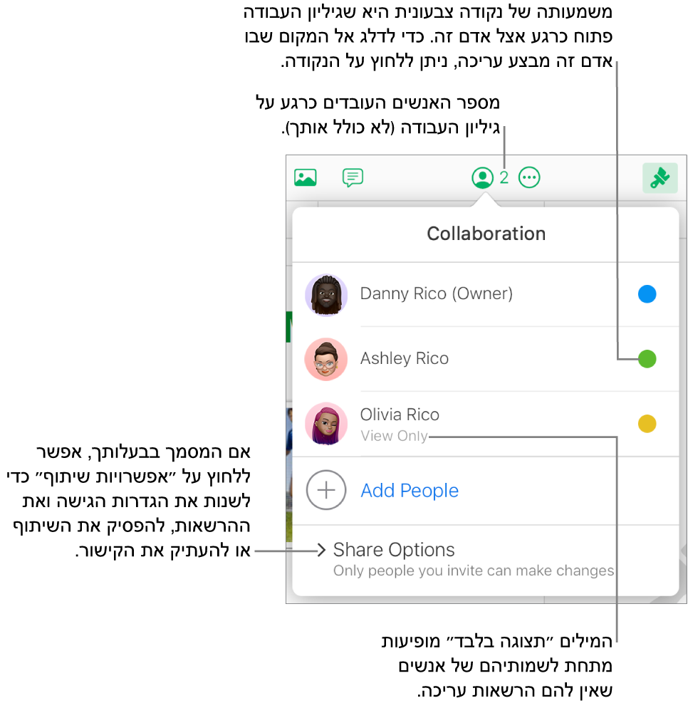 התפריט ״שיתוף פעולה״ פתוח, עם רשימה של שלושה משתתפים (אחד מהם עם הרשאת גישה ״לצפייה בלבד״), עם האפשרות ״הוספת אנשים״ ועם המקטע ״אפשרויות שיתוף״ שבו הבעלים יכולים לשנות את הגדרות הגישה וההרשאות.