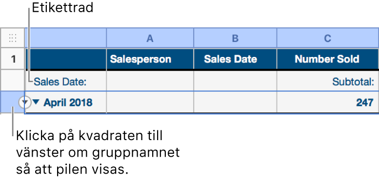 Summeringsraden är markerad i en kategoriindelad tabell och en nedåtpil visas på kanten. Etikettraden över summeringsraden visar namnet på kategorin ovanför gruppnamnet, och namnet på en funktion, Delsumma, i den tredje kolumnen.