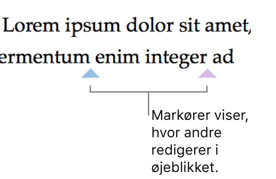 Markører i forskellige farver, der viser, hvad andre personer redigerer i et delt dokument.