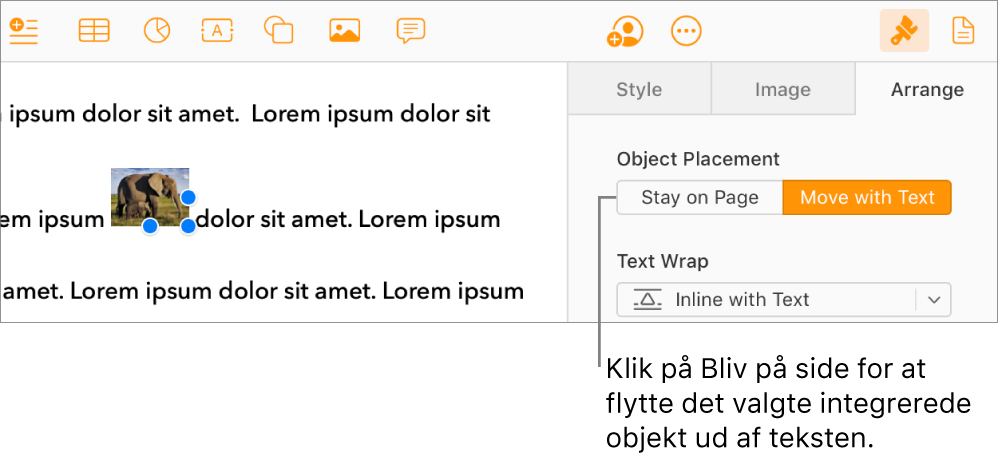 Et integreret billede i brødteksten er valgt, og knappen Bliv på side er synlig under fanen Organiser i indholdsoversigten.