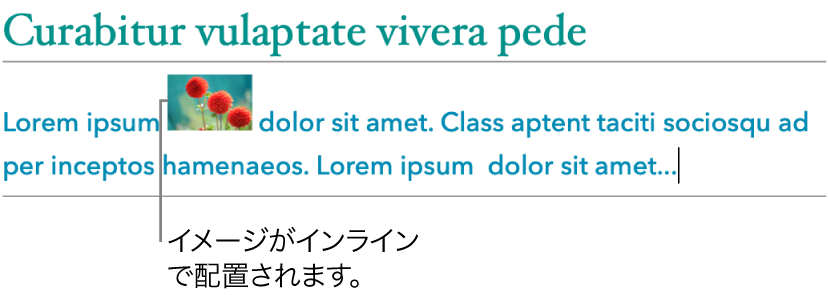 画像がテキストに対してインラインに配置されているところ。