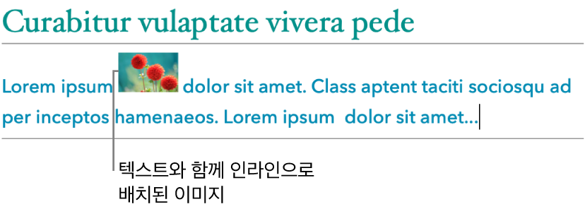이미지가 텍스트에 인라인으로 배치되어 있습니다.