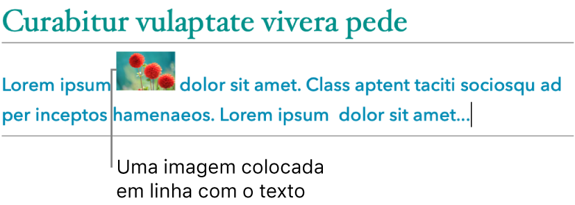 Imagem alinhada com o texto.