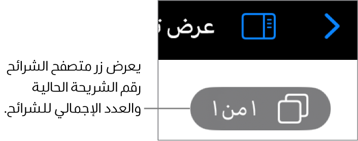 زر متصفح الشرائح يعرض رقم الشريحة الحالية والعدد الإجمالي للشرائح في العرض التقديمي.