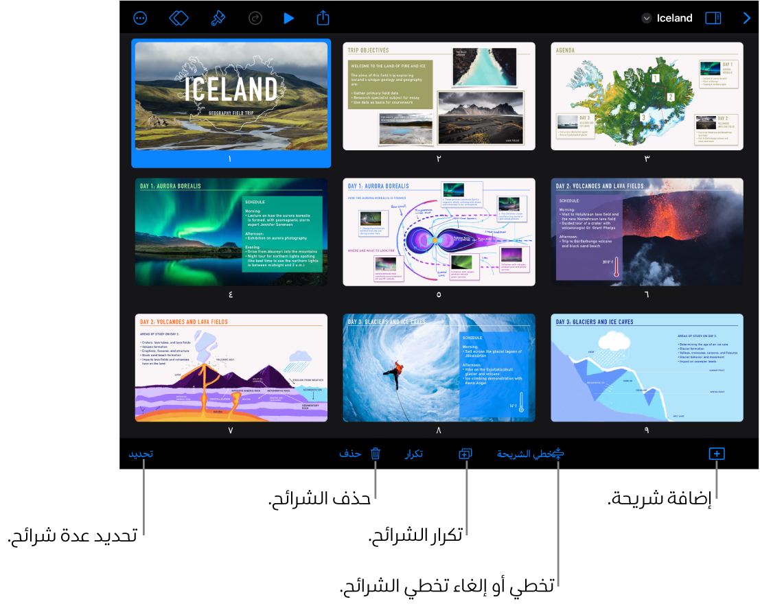 عرض الطاولة الضوئية يعرض أزرارًا في الجزء السفلي من الشاشة لإضافة الشرائح وتخطيها وتكرارها وحذفها ولتحديد عدة شرائح.