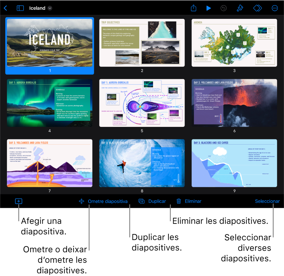 Visualització en taula de llum amb botons a la part inferior de la pantalla per afegir, ometre, duplicar i eliminar diapositives, i per seleccionar diverses diapositives.