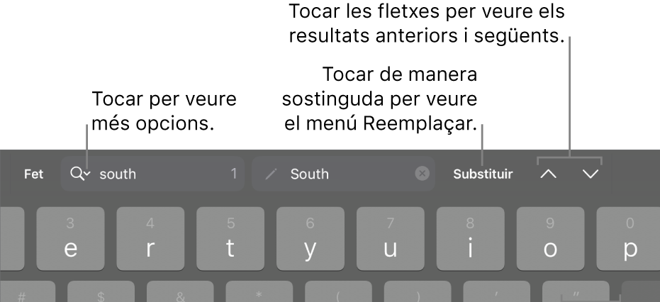 Els controls “Buscar i substituir” a sobre del teclat amb referències als botons “Opcions de cerca”, “Anar amunt” i “Anar avall”.