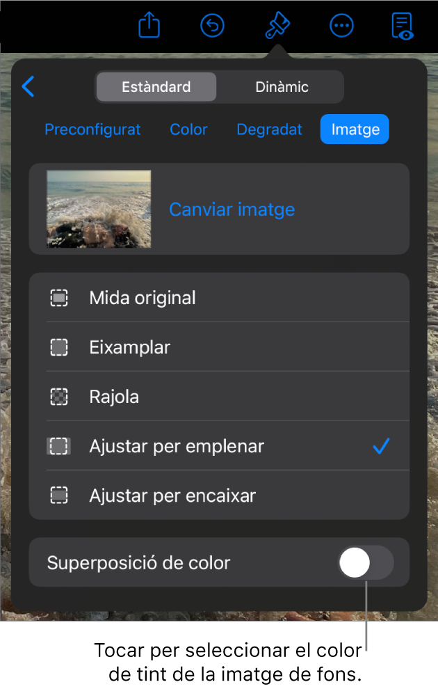 Els controls del fons amb una imatge com a fons de diapositiva i el control “Superposició de color” a la part inferior.